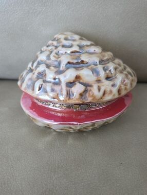 Real Clam Shell Trinket Box in Pink and Beige